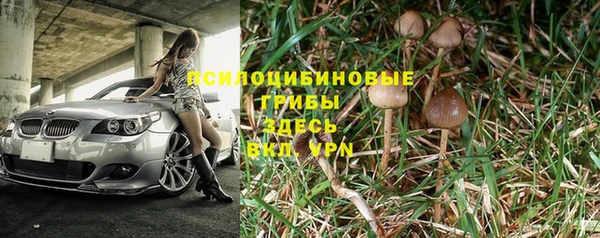тгк Алексин