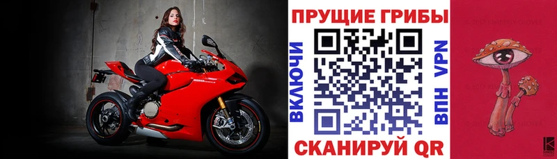 kraken онион  Осташков  Псилоцибиновые грибы Magic Shrooms 